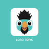 TOPIK Level 4 icon